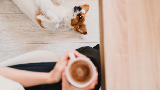 Coffee and Dogs: A Perfect Pairing with a Purpose